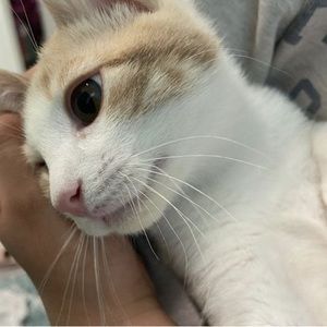 Meet your Posher, Bryana